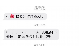 仪陇为什么选择专业追讨公司来处理您的债务纠纷？